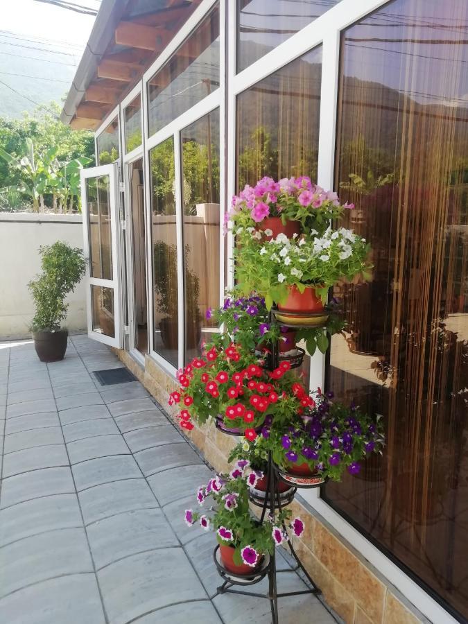Mini-hotel Yanson 2 Gagra Exterior foto